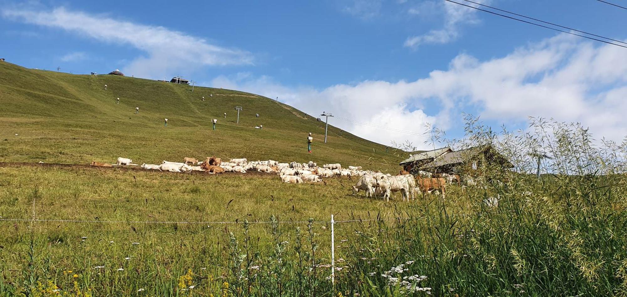 Pieds Des Pistes - Parking Couvert - Plein Sud Alpe d'Huez Dış mekan fotoğraf